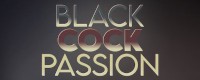 BlackCockPassion